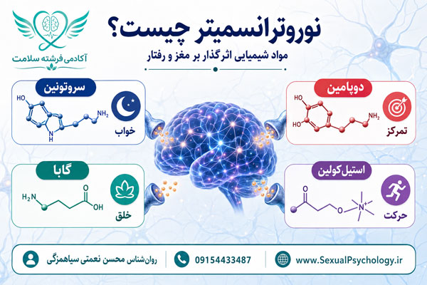 انتقال‌دهنده عصبی و آزادسازی نوروترانسمیترها در سیناپس میان نورون‌ها